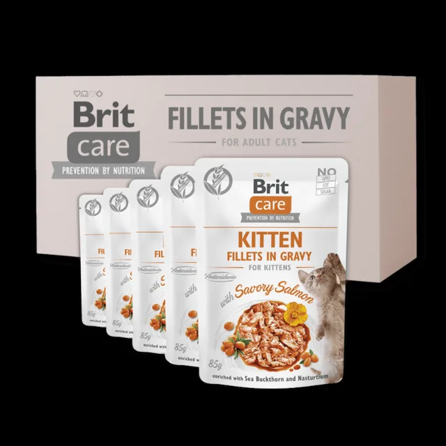 24 x BCC Kitten. Fillets in Gravy with Savory Salmon 85 g