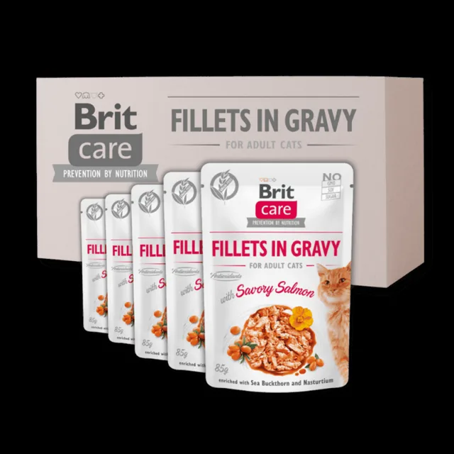 24 x Brit Care Cat Fillets in Gravy with Savory Salmon 85 g
