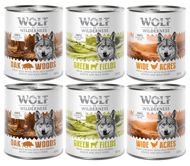6 x 800 g míchaná balení - Wolf of Wilderness - 6 x 800 g: divočák, kuřecí, jehněčí