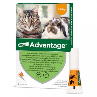 Advantage Spot-on pro malé kočky a králíky 40 mg 4 x 0,4 ml