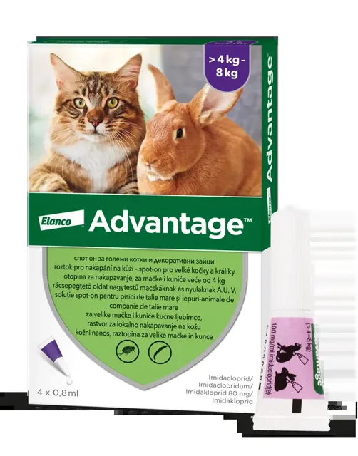 Advantage Spot-on pro malé kočky a králíky 80 mg 4 x 0,8 ml