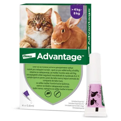 Advantage Spot-on pro malé kočky a králíky 80 mg 4 x 0,8 ml