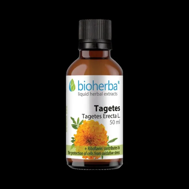 Aksamitník kapky – tinktura – 50 ml – Bioherba