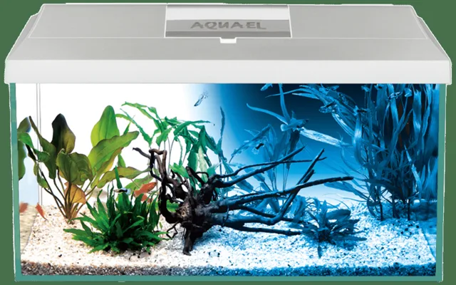 Akvarijní set Aquael LEDDY 60 bílý Day&Night