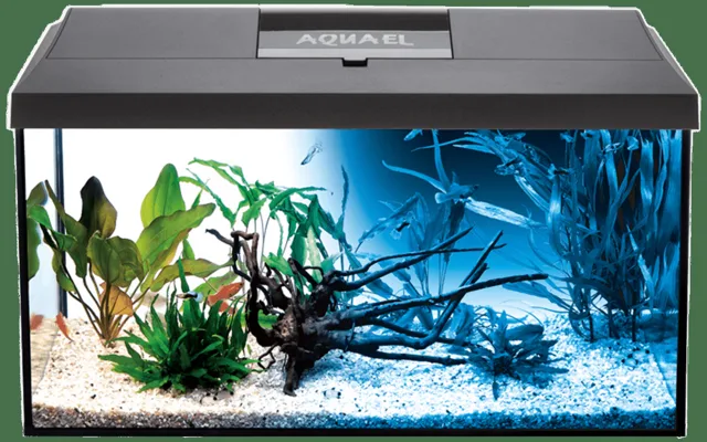 Akvarijní set Aquael LEDDY 60 černý Day&Night