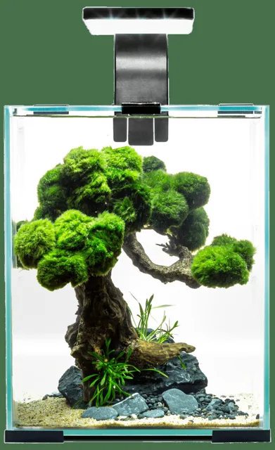 Akvárium Aquael Shrimp Smart Day & Night 10l černé