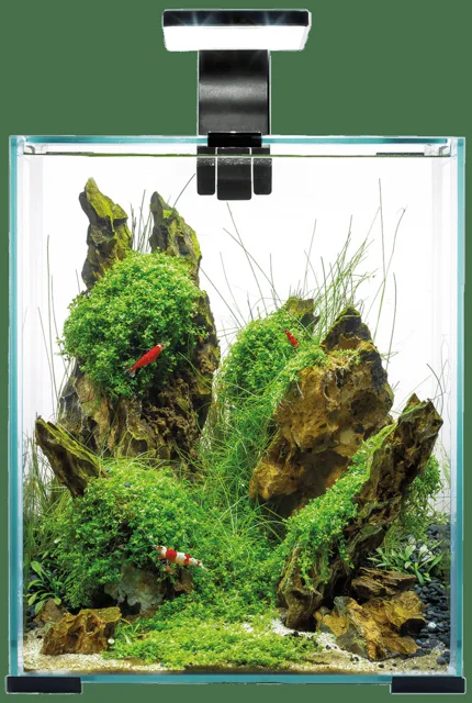 Akvárium Aquael Shrimp Smart Day & Night 19l černé