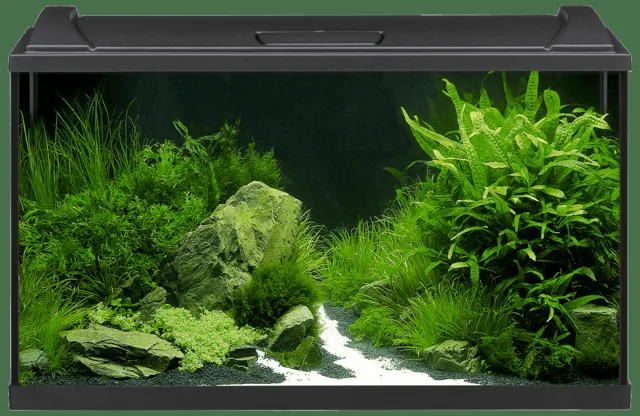 Akvárium Eheim Aquapro LED 126l černá