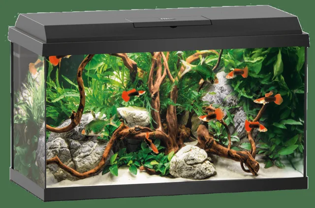 Akvárium Juwel Primo LED 60l černá