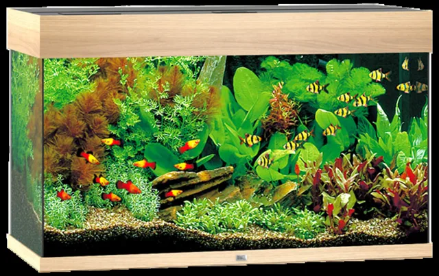 Akvárium Juwel Rio LED 125l dub