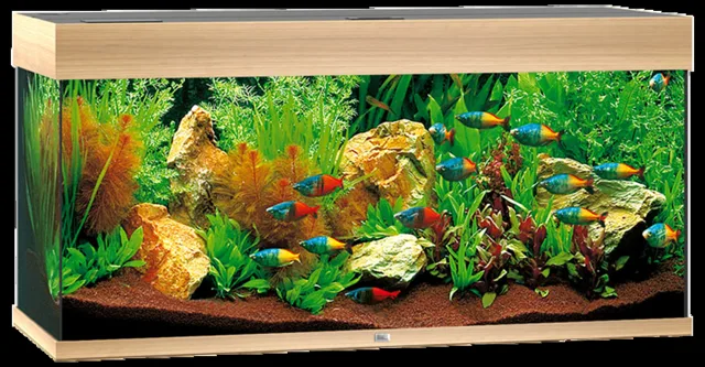 Akvárium Juwel Rio LED 180l dub