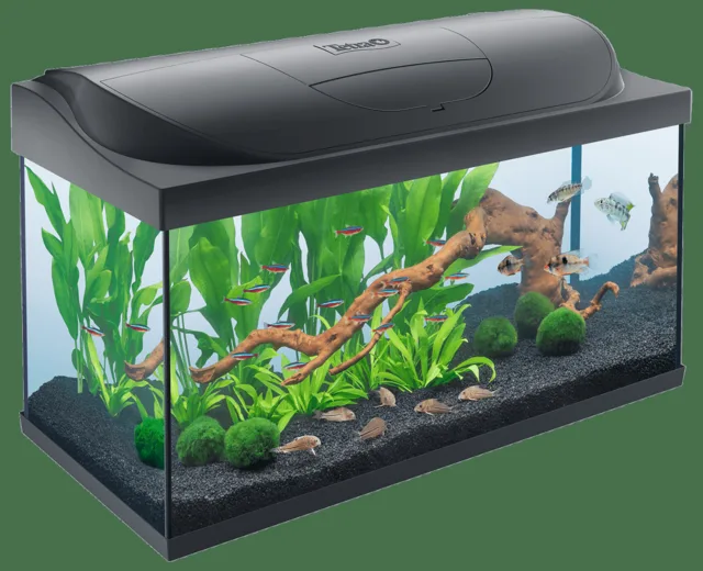Akvárium set Tetra Starter line LED 105l