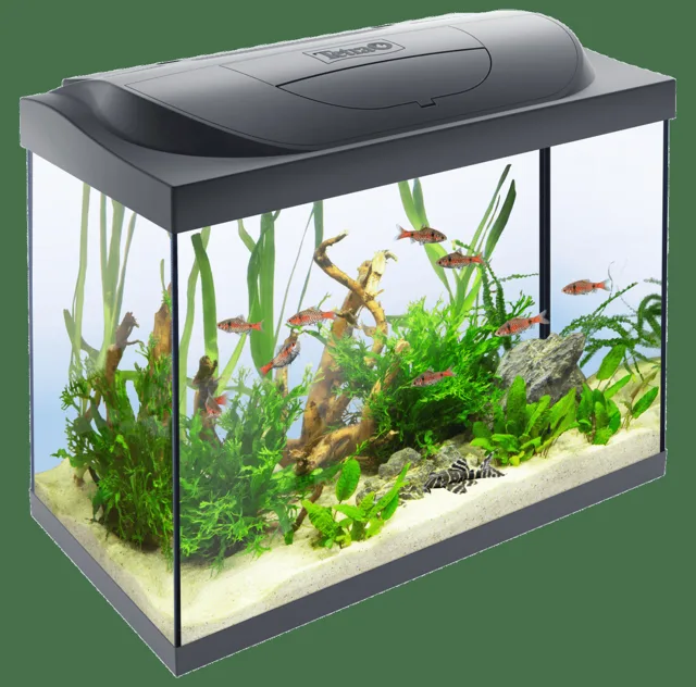 Akvárium set Tetra Starter Line LED 80l