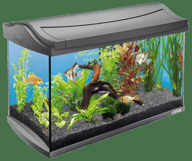 Akvárium Tetra AquaArt LED 60l