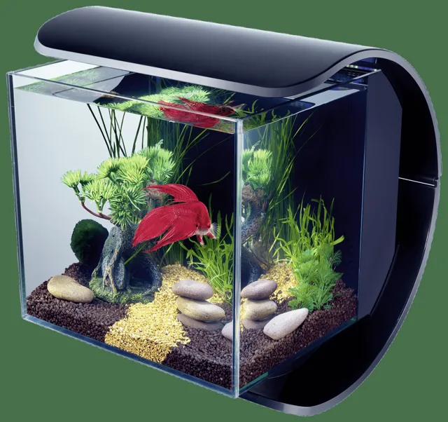 Akvárium Tetra Silhouette LED 12l černá