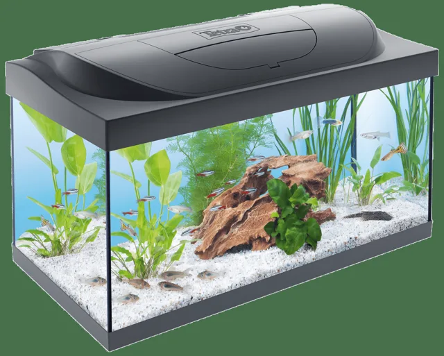 Akvárium Tetra Starter Line LED 54l