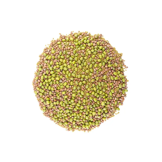 Alfalfa ředkev mungo směs na klíčení váha 200g