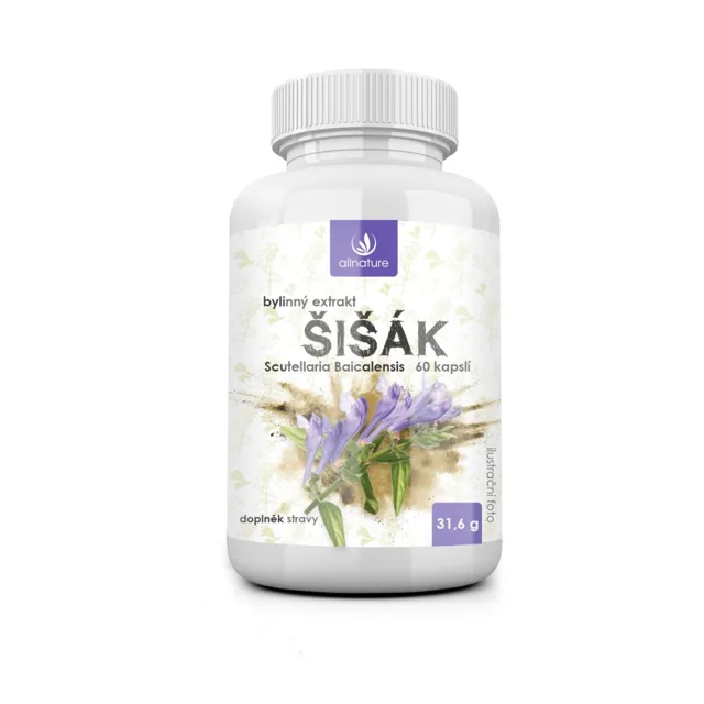 Allnature Šišák bylinný extrakt 60 kapslí