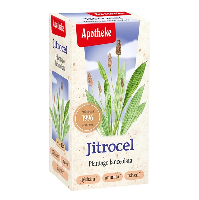 APOTHEKE Jitrocel čaj 20x1.5g