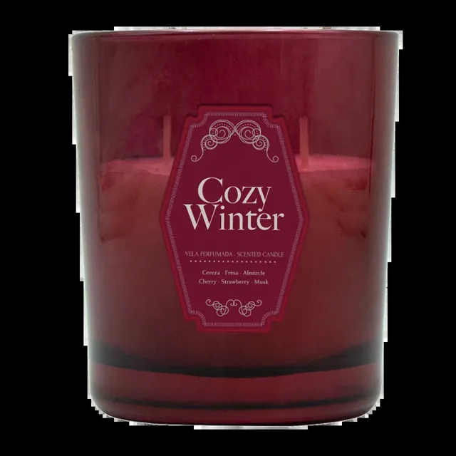 Aromatium Vonná svíčka Cozy Winter se 2 knoty
