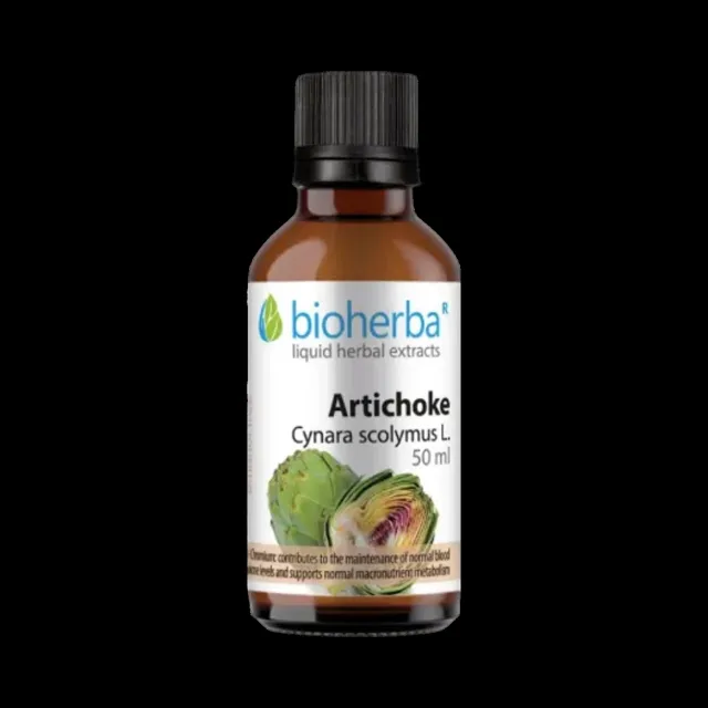 Artyčok (Cynara scolymus L.) kapky – tinktura – 50 ml – Bioherba