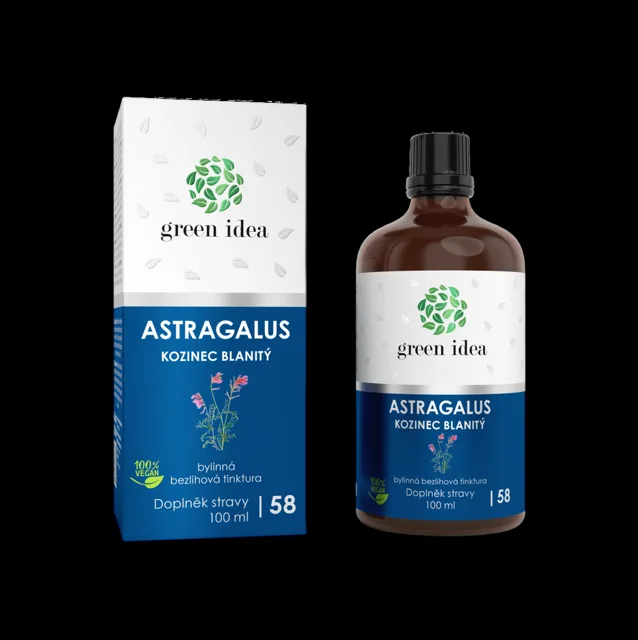 Astragalus – bezalkoholová tinktura 100 ml – Green idea