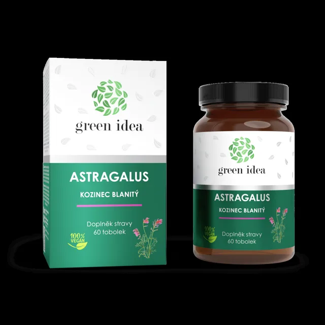 Astragalus – kozinec blanitý – 60 kapslí – Green idea