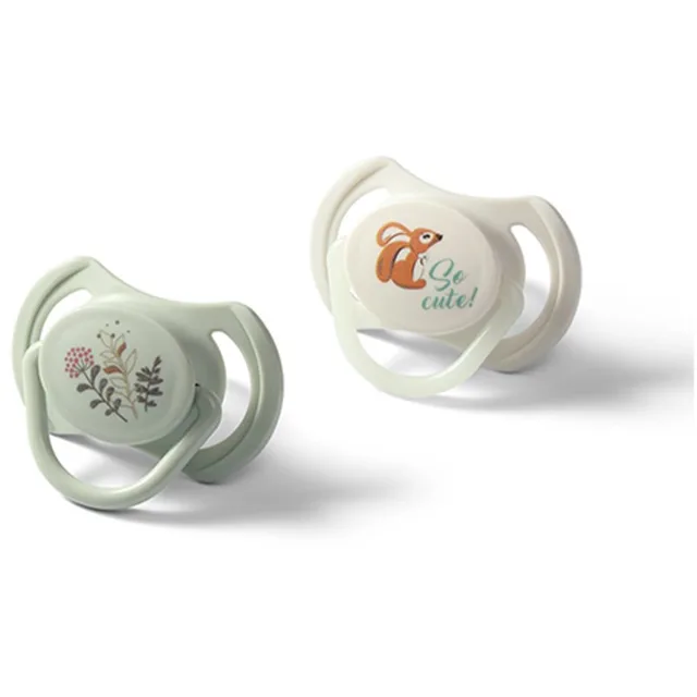 BabyOno Take Care Symmetrical Silicone Soothers dudlík Day & Night 6-18m+ 2 ks