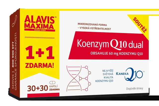 Barny`s Koenzym Q10 Dual 60 mg 60 kapslí