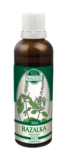 Bazalka posvátná (P67)