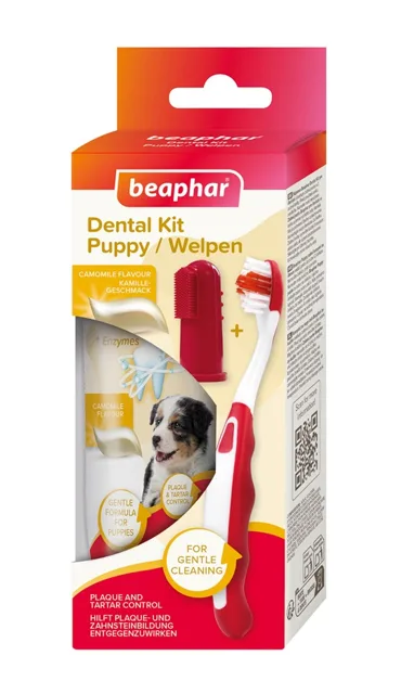 BEAPHAR Puppy Dental Kit zubní kartáček a pasta na zuby 50 g pro štěňata