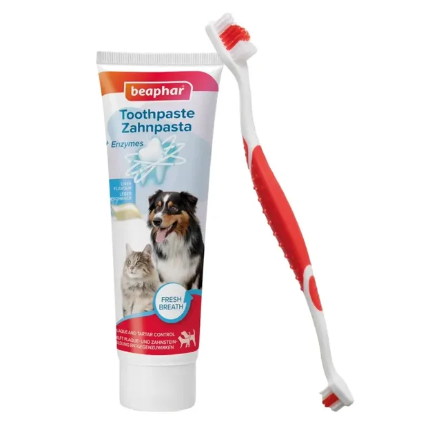 Beaphar Sada pro Péči o Zuby - 100g