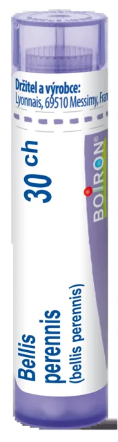 BELLIS PERENNIS POR 30CH GRA 4