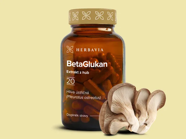 Beta 1,3 D glukan - extrakt z houby- Hlíva ústřičná - 60 kapslí