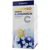Biarthro Horse kolagen a lipozomální Vit.C 60ks