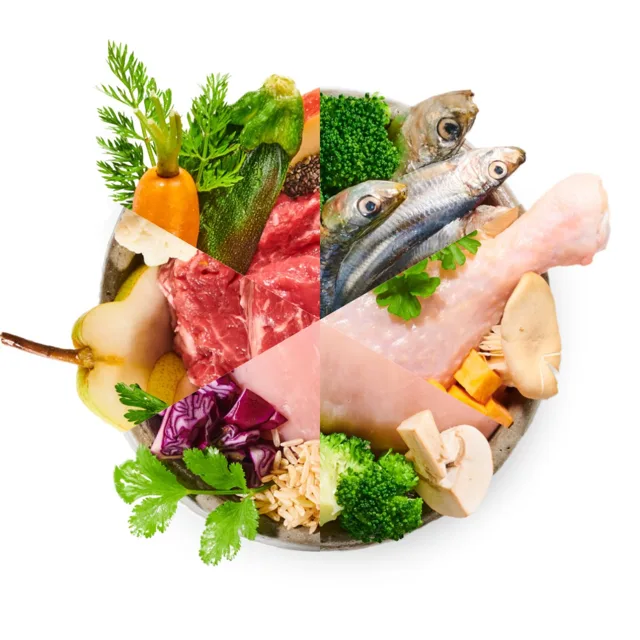 BiBi FOOD 14 denní mix - vařené psí jídlo, gramáž: 250 g