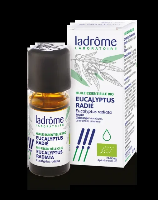 BIO Esenciální olej EUKALYPTUS ZÁŘIVÝ 10 ml