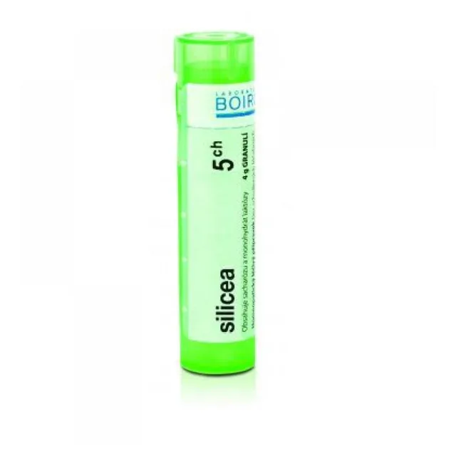 BOIRON Silicea CH5 4 g