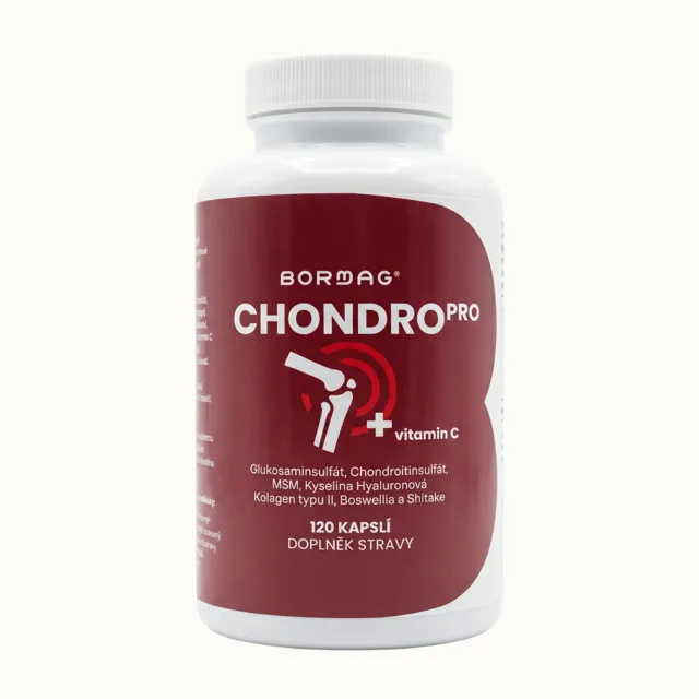 BORMAG ChondroPro komplex se shiitake a boswellií 120 kapslí