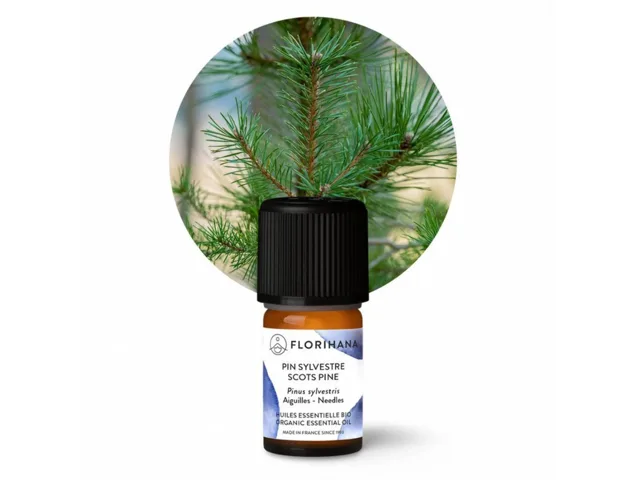 Borovice lesní (scots pine) BIO 5g
