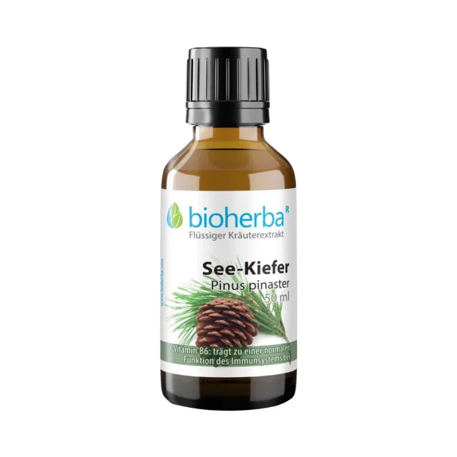 Borovice přímořská - tinktura kapky - 50 ml - Bioherba