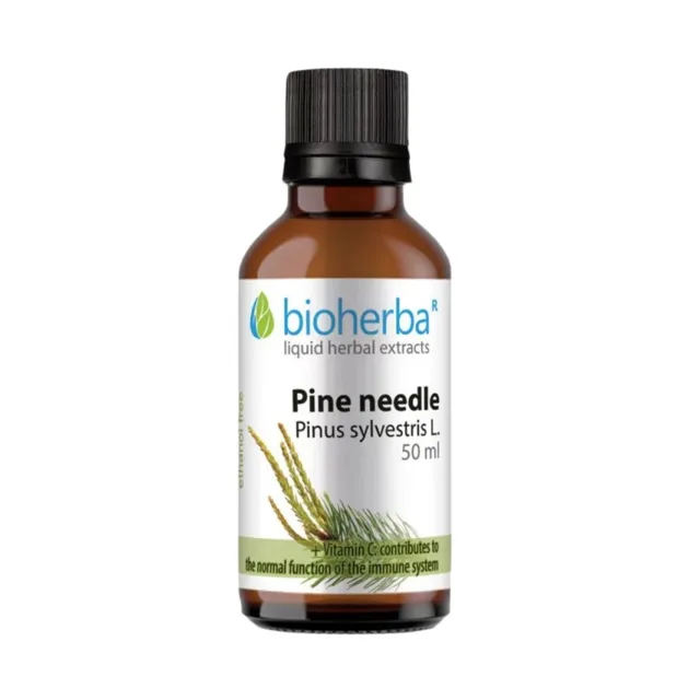 Borovicové výhonky – tinktura kapky – 50 ml – Bioherba