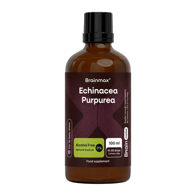 BrainMax BrainMax® Echinacea Alcohol Free Tincture, Extract, 100 ml