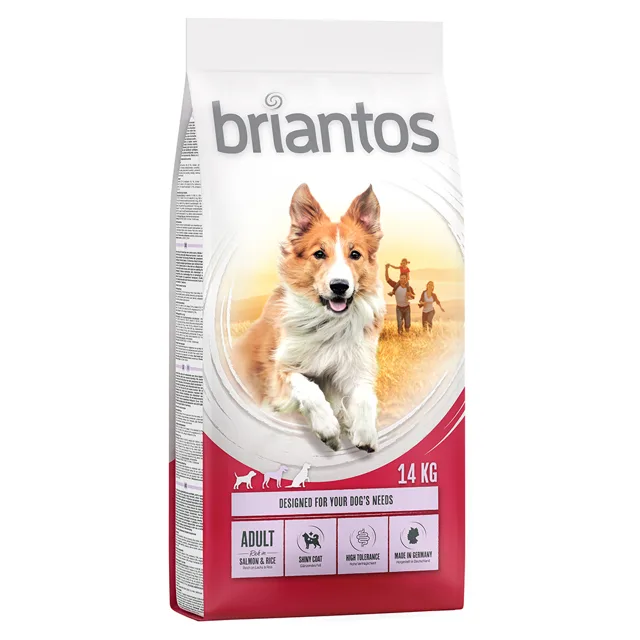 Briantos Adult losos s rýží - 14 kg