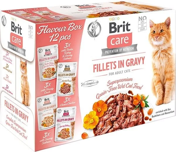 BRIT Care Cat Flavour box Fillet in Gravy 12x85 g