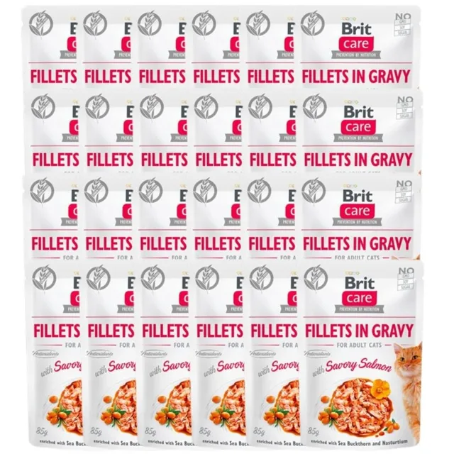 BRIT Care Fillets in gravy Savory Salmon 24 x 85 g