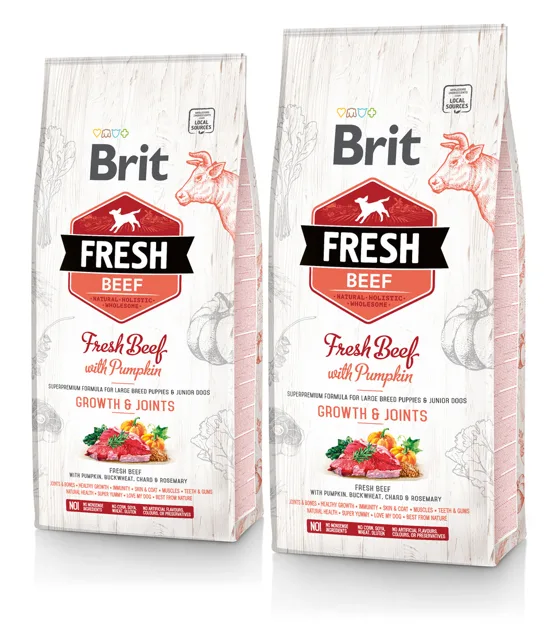 BRIT Fresh beef with pumpkin puppy large 2 x 12 kg