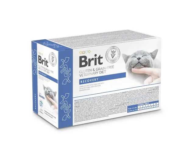 BRIT Veterinary Diet Grain Free Recovery Cat Fillets in Gravy Salmon 12x85g pro kočky v období rekonvalescence