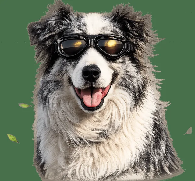 Brýle M-Pets Trailblazer pro psy