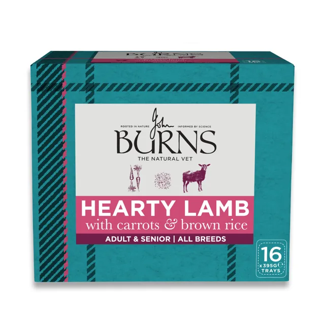 Burns vlhké krmivo pro psy 16 x 395 g - Jehněčí